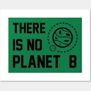 THERE IS NO PLANET B Posters and Art